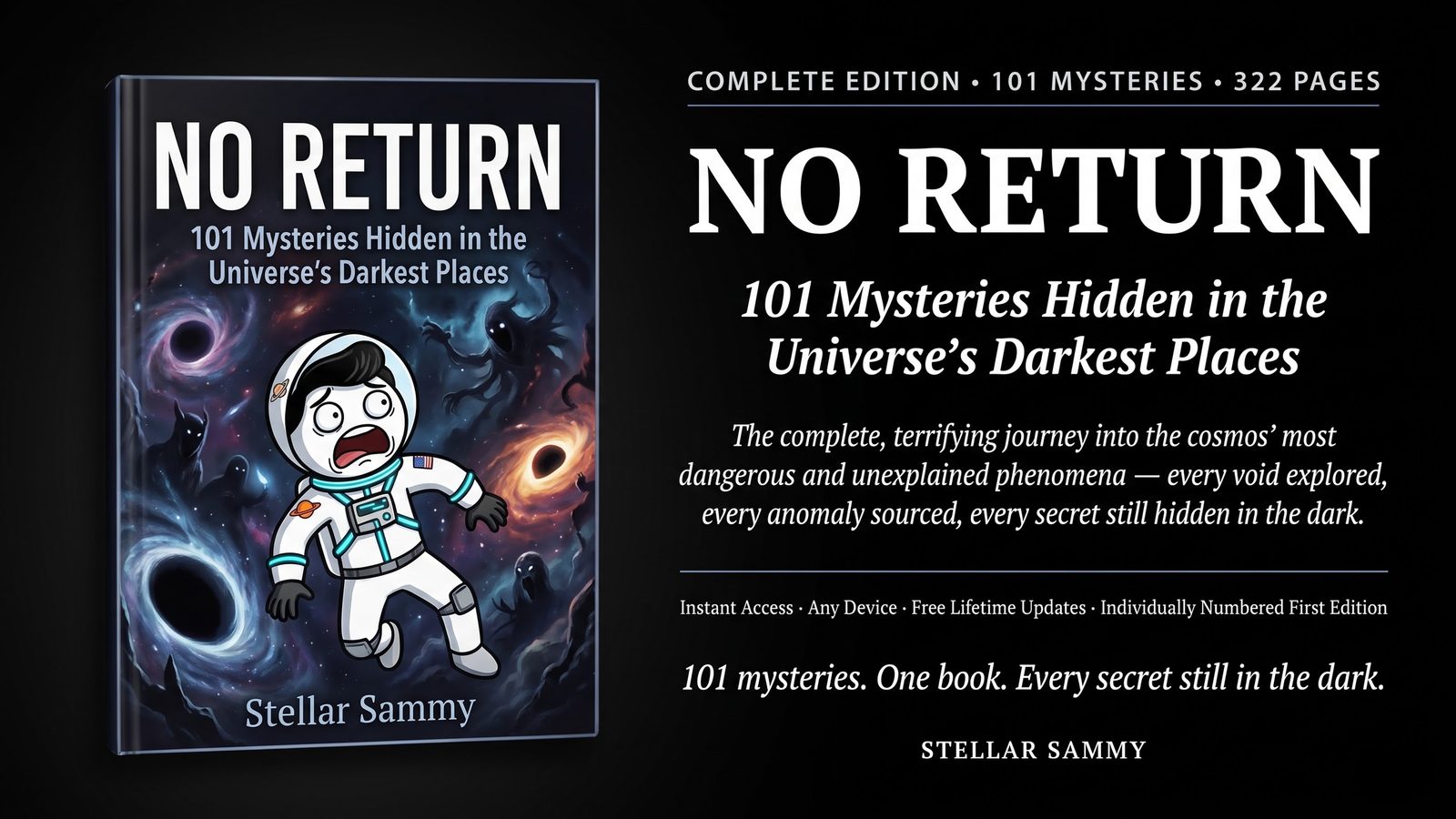 No Return ebook cover and details